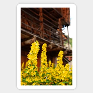 Wooden Farm Building with Foreground Flowers Sticker